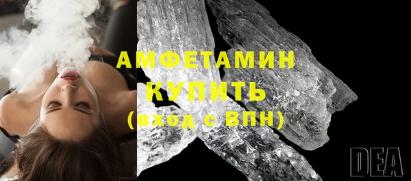 гидра Арсеньев