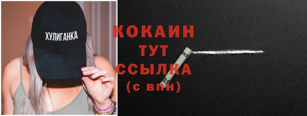 гидра Арсеньев