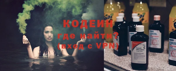 гидра Арсеньев