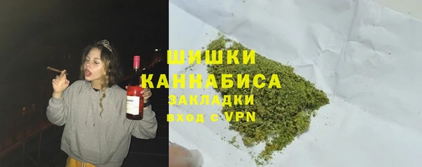 гидра Арсеньев