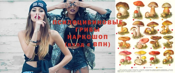 молекула духа Аркадак