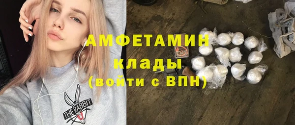 гидра Арсеньев