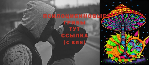 молекула духа Аркадак