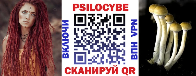 Галлюциногенные грибы Magic Shrooms  Купить где  Гдов 