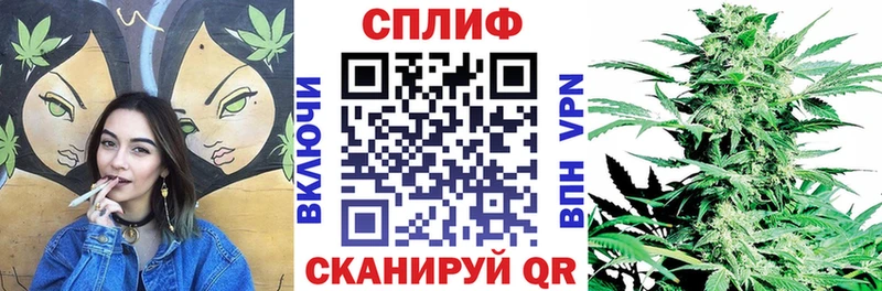 Каннабис сатива Гдов